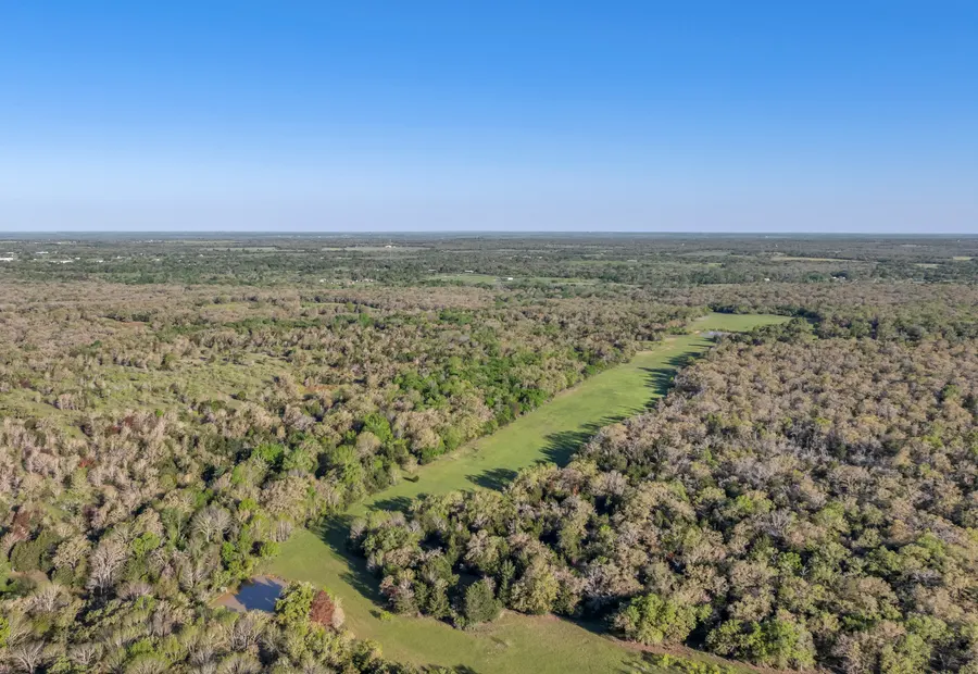 Wooded rural acreage and open land near Weir and Georgetown