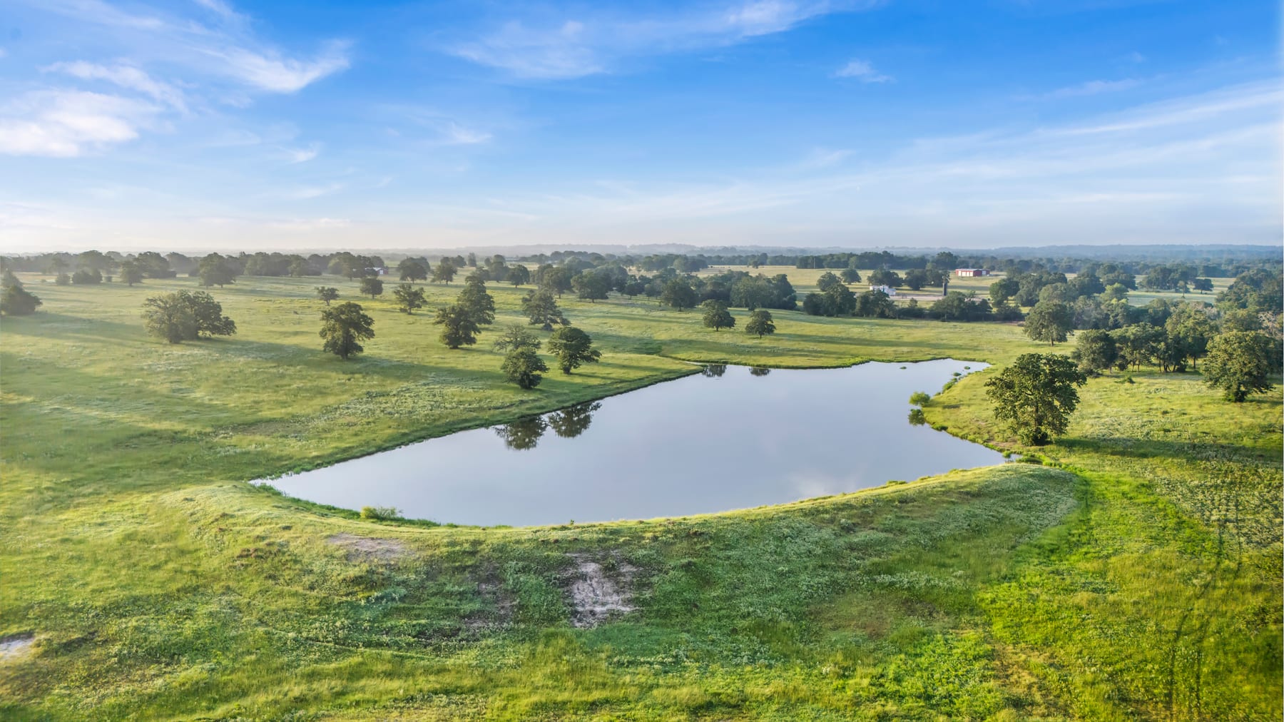 Open pasture and pond land near Florence in rural Williamson County
